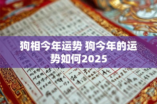 狗相今年运势 狗今年的运势如何2025