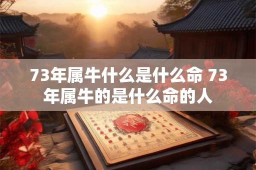 73年属牛什么是什么命 73年属牛的是什么命的人