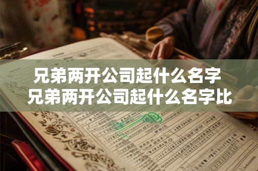 兄弟两开公司起什么名字 兄弟两开公司起什么名字比较好
