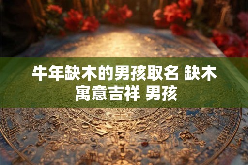 牛年缺木的男孩取名 缺木 寓意吉祥 男孩