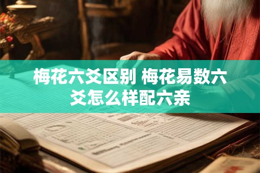 梅花六爻区别 梅花易数六爻怎么样配六亲