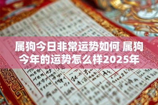 属狗今日非常运势如何 属狗今年的运势怎么样2025年运程