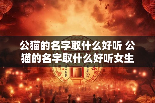 公猫的名字取什么好听 公猫的名字取什么好听女生
