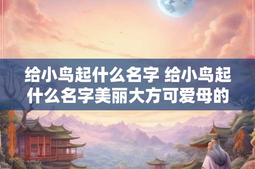 给小鸟起什么名字 给小鸟起什么名字美丽大方可爱母的