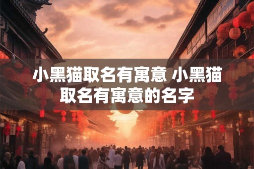 小黑猫取名有寓意 小黑猫取名有寓意的名字