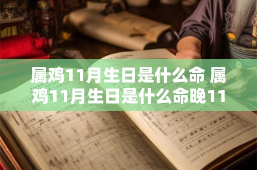 属鸡11月生日是什么命 属鸡11月生日是什么命晚11点