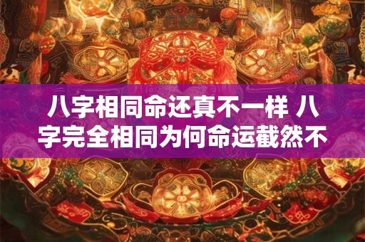 八字相同命还真不一样 八字完全相同为何命运截然不同 八字相同命还真不一样 八字完全相同为何命运截然不同