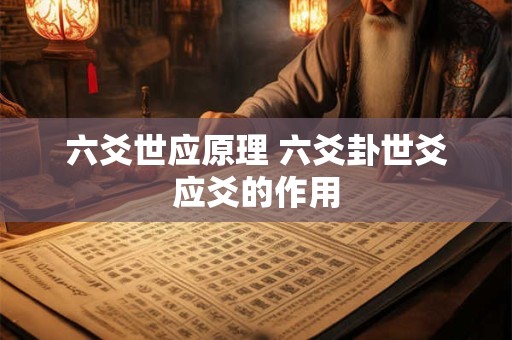 六爻世应原理 六爻卦世爻应爻的作用