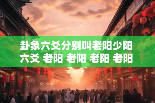 卦象六爻分别叫老阳少阳 六爻 老阳 老阳 老阳 老阳 少阴 少阳