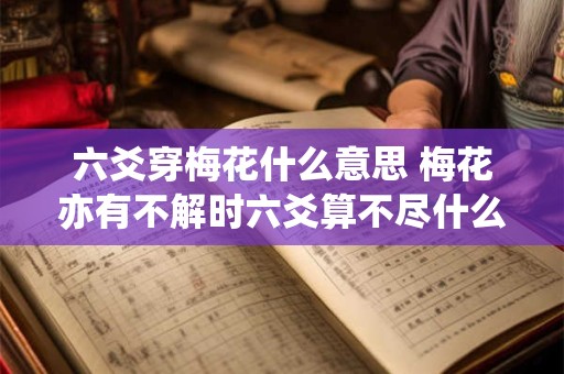 六爻穿梅花什么意思 梅花亦有不解时六爻算不尽什么意思