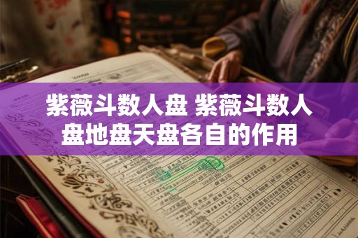 紫薇斗数人盘 紫薇斗数人盘地盘天盘各自的作用