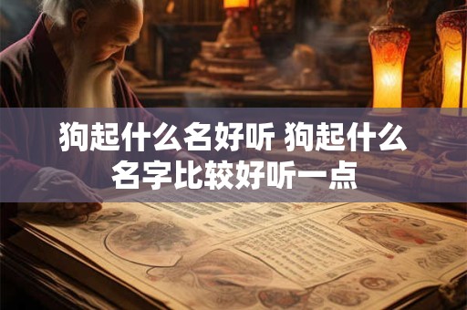 狗起什么名好听 狗起什么名字比较好听一点
