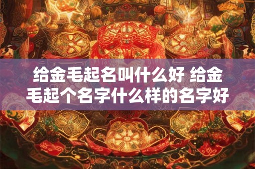 给金毛起名叫什么好 给金毛起个名字什么样的名字好听