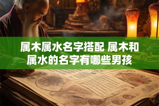 属木属水名字搭配 属木和属水的名字有哪些男孩
