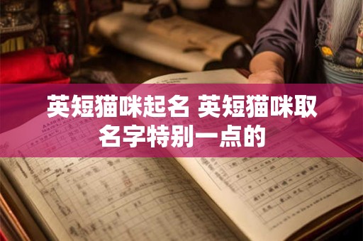 英短猫咪起名 英短猫咪取名字特别一点的