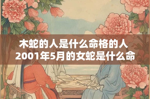 木蛇的人是什么命格的人 2001年5月的女蛇是什么命格