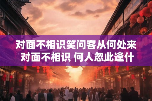 对面不相识笑问客从何处来 对面不相识 何人忽此逢什么意思