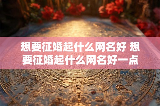 想要征婚起什么网名好 想要征婚起什么网名好一点