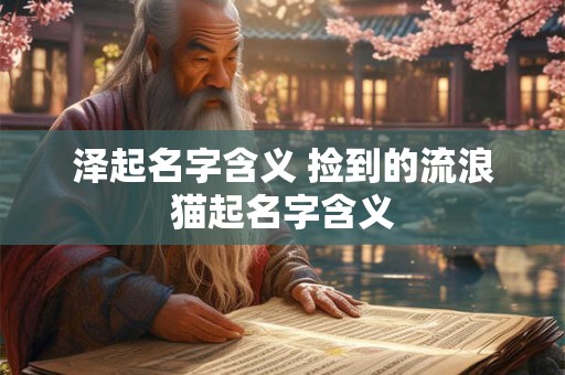 泽起名字含义 捡到的流浪猫起名字含义