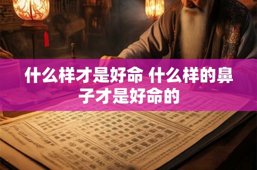 什么样才是好命 什么样的鼻子才是好命的