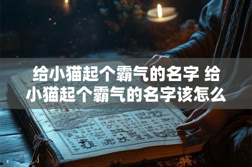 给小猫起个霸气的名字 给小猫起个霸气的名字该怎么起