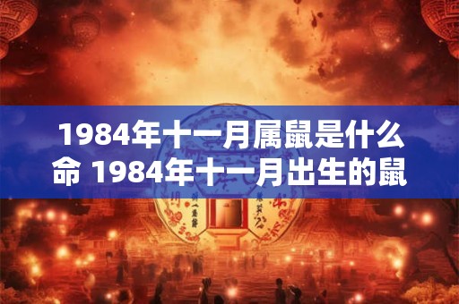 1984年十一月属鼠是什么命 1984年十一月出生的鼠命运如何