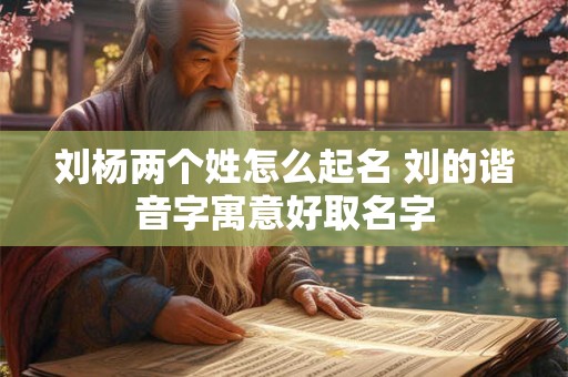 刘杨两个姓怎么起名 刘的谐音字寓意好取名字