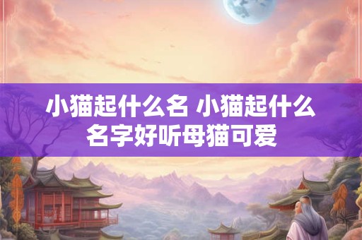 小猫起什么名 小猫起什么名字好听母猫可爱