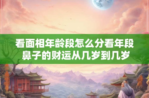 看面相年龄段怎么分看年段 鼻子的财运从几岁到几岁