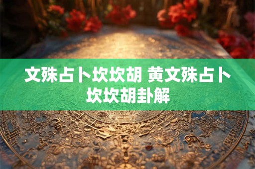 文殊占卜坎坎胡 黄文殊占卜坎坎胡卦解