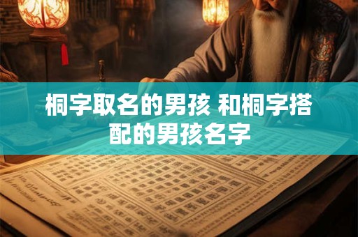桐字取名的男孩 和桐字搭配的男孩名字