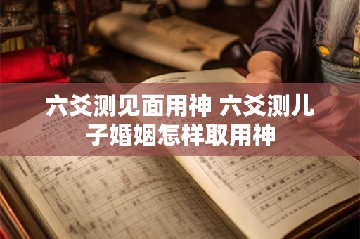 六爻测见面用神 六爻测儿子婚姻怎样取用神