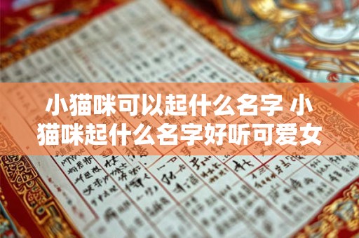 小猫咪可以起什么名字 小猫咪起什么名字好听可爱女猫