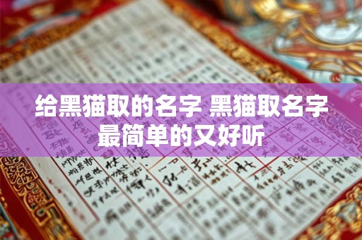 给黑猫取的名字 黑猫取名字最简单的又好听