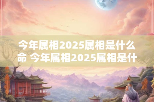 今年属相2025属相是什么命 今年属相2025属相是什么命运