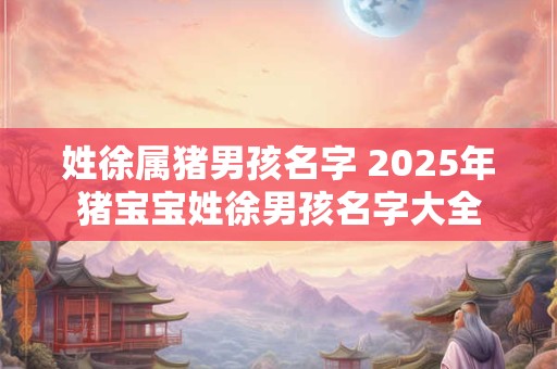 姓徐属猪男孩名字 2025年猪宝宝姓徐男孩名字大全