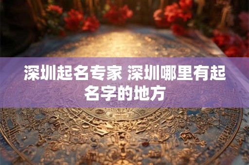 深圳起名专家 深圳哪里有起名字的地方