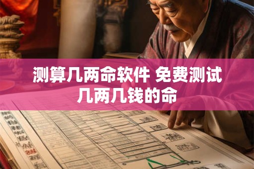 测算几两命软件 免费测试几两几钱的命