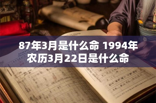 87年3月是什么命 1994年农历3月22日是什么命