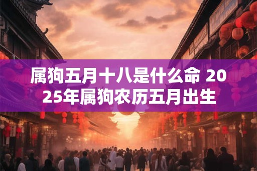 属狗五月十八是什么命 2025年属狗农历五月出生