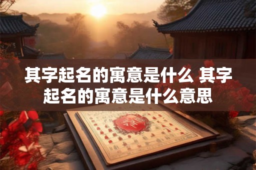 其字起名的寓意是什么 其字起名的寓意是什么意思