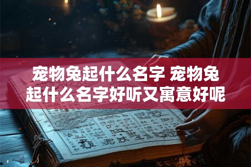 宠物兔起什么名字 宠物兔起什么名字好听又寓意好呢