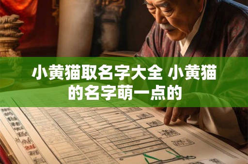 小黄猫取名字大全 小黄猫的名字萌一点的
