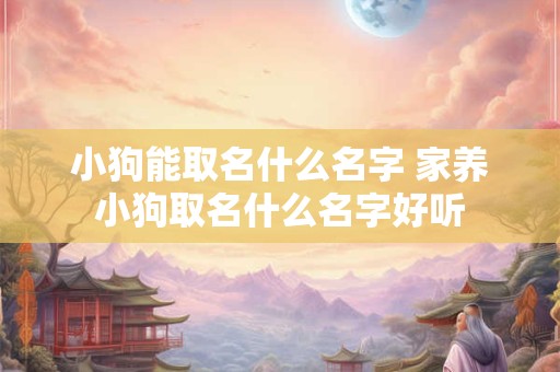 小狗能取名什么名字 家养小狗取名什么名字好听
