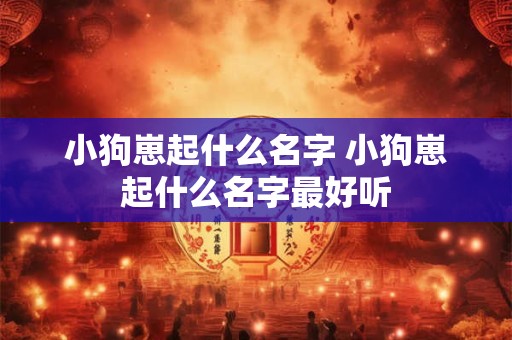 小狗崽起什么名字 小狗崽起什么名字最好听