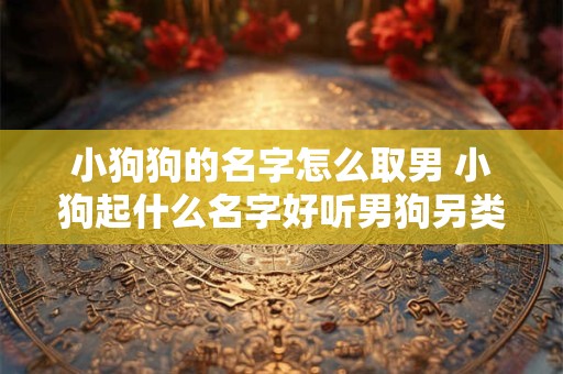 小狗狗的名字怎么取男 小狗起什么名字好听男狗另类