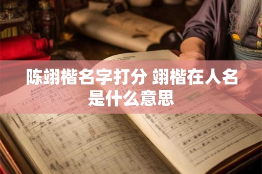 陈翊楷名字打分 翊楷在人名是什么意思