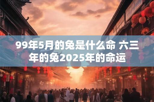 99年5月的兔是什么命 六三年的兔2025年的命运