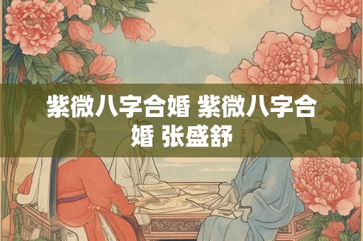 紫微八字合婚 紫微八字合婚 张盛舒