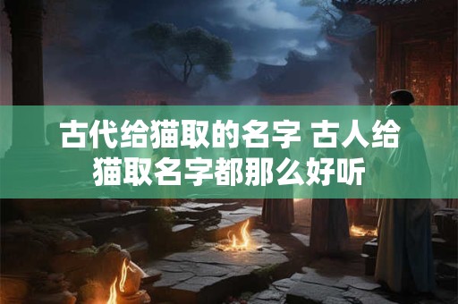 古代给猫取的名字 古人给猫取名字都那么好听